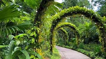 orchid garden arch