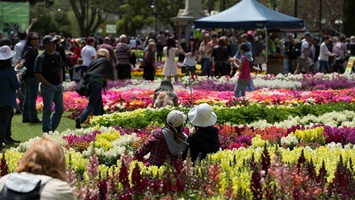 QLD Toowoomba flower show