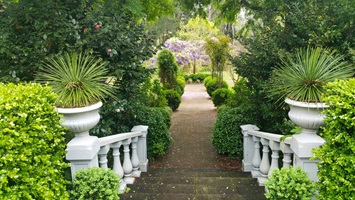 Old Savannah Gardens