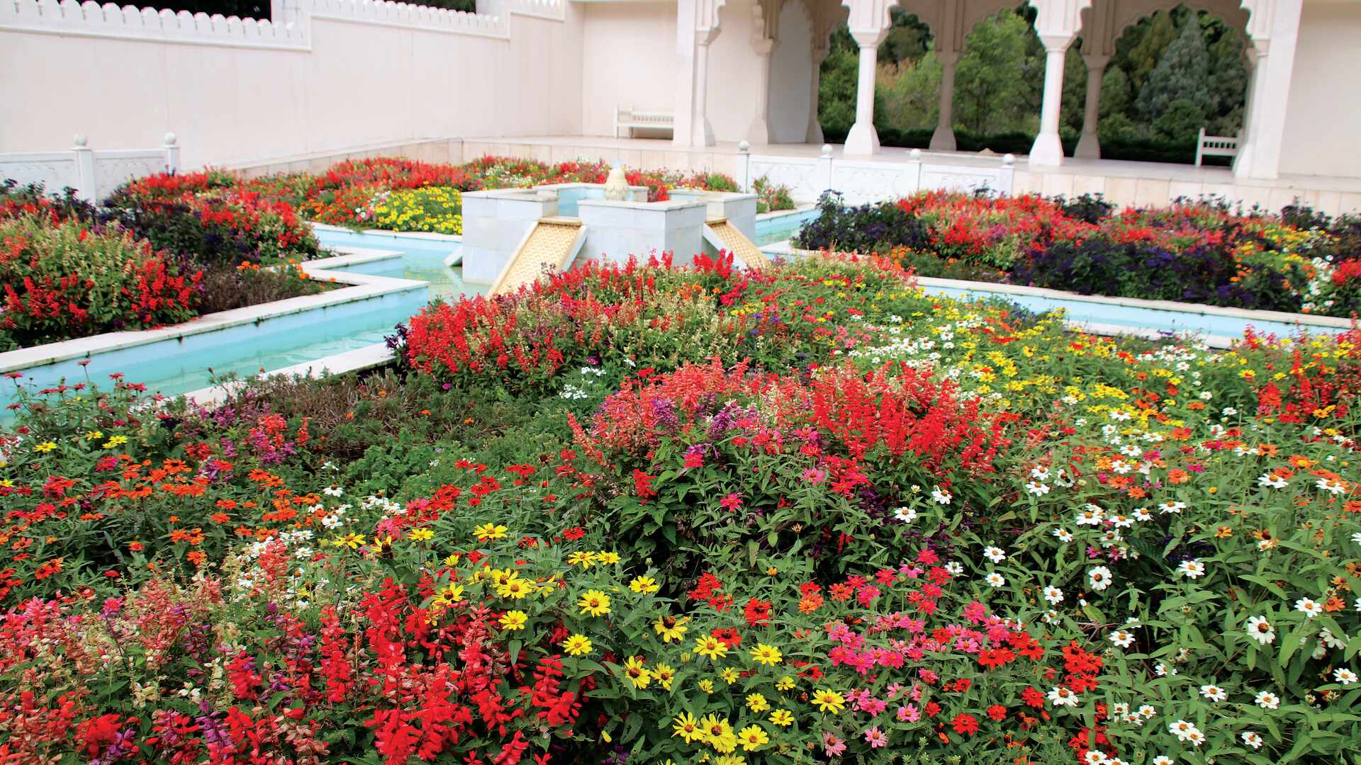 Image of Hamilton India Themed Garden