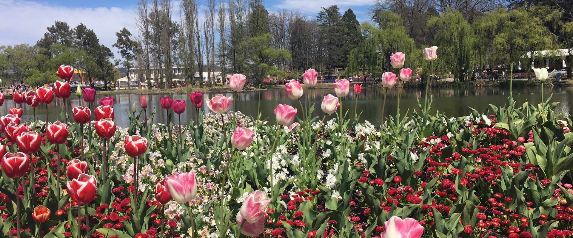Image of Canberra Floriade