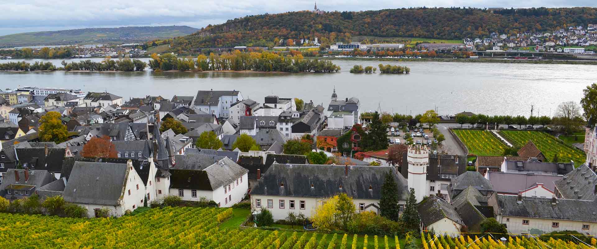 rudesheim riverfront vineyards, germany
