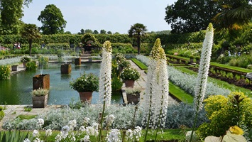Sunken Garden, Kengsington Palace